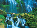 comercial_ivain_2014003.jpg